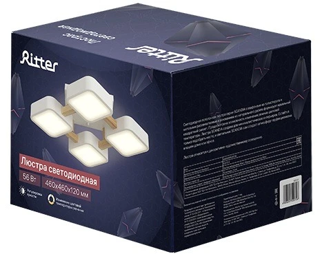 Потолочный светодиодный светильник Ritter Scandia 52072 6