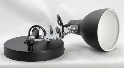 Бра на гибкой ножке Lussole Loft Koyukuk LSP-8049 (220V, IP21)