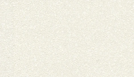 Обои виниловые Marburg Project 30422 10,05 x 0,53 м