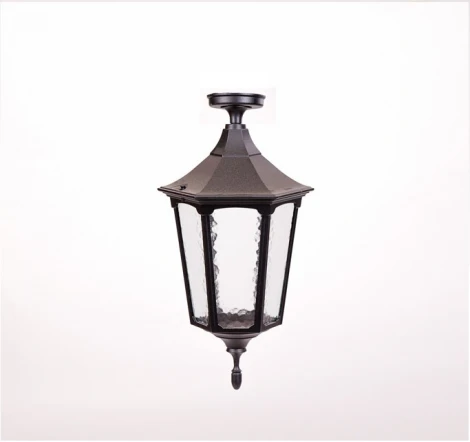 Потолочный светильник уличный Oasis Light ALBORG L 79705LA Bl (220V, фонарь, IP44)