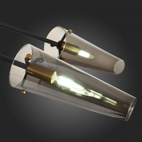 Потолочная люстра на штанге ST Luce Morave SL1209.302.06 (220V)