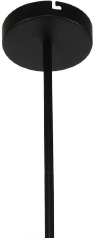 Потолочная люстра ярусная на штанге Ducan 3094-8P F-Promo (LED, 220V)