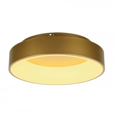 Потолочный светодиодный светильник круглый MyFar Shannon MR2195-1PL (220V, пульт управления, круглые, IP40)