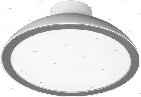 Massive Brooks 32025-31-10