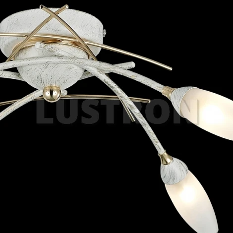 Потолочная люстра Maytoni Modern 7 MOD501-04-G