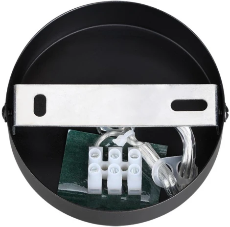 Подвесной светильник Lumion Avrora 8001/1A черный/античное золото металл/металл Е14 40W 220V (на проводе)