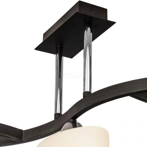 Потолочная люстра Silver Light Astoria 234.59.3