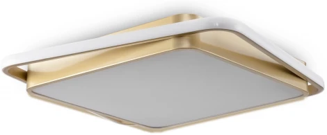 Потолочный светильник Freya Yaku FR10026CL-L93G