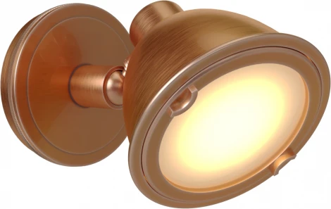 Настенный светильник уличный Covali WL-38034 (220V, IP54)