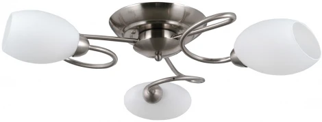 Потолочная люстра Фиеста 267014503