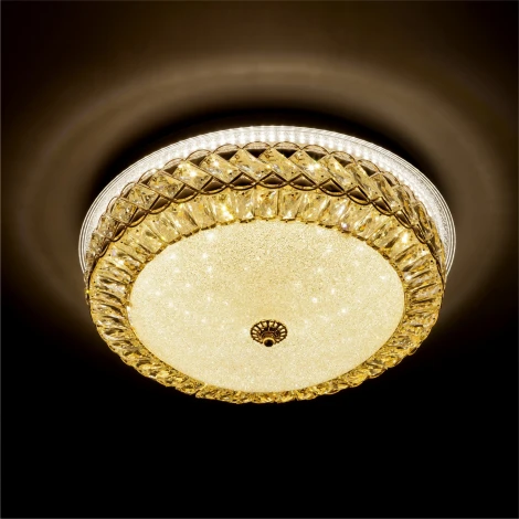 Потолочный светильник светодиодный с пультом с регулировкой цветовой температуры и яркости LED4U LED4U L1157-500 GD