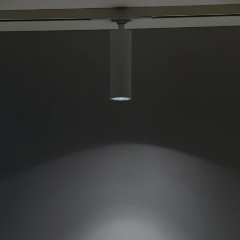 Трековый светильник Citilux Тубус CL01T070N (LED, 220V, круглые)