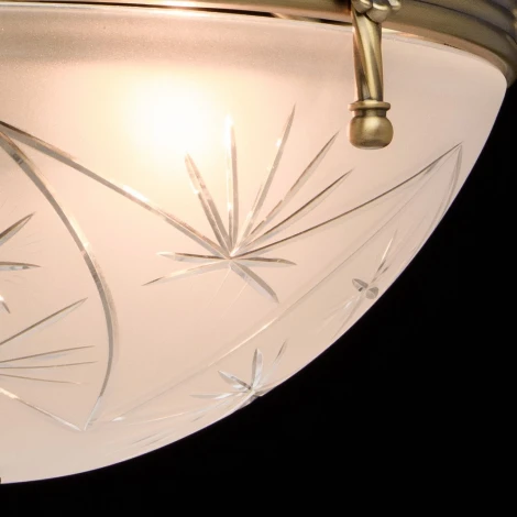 Подвесная люстра MW-Light Афродита 317012104