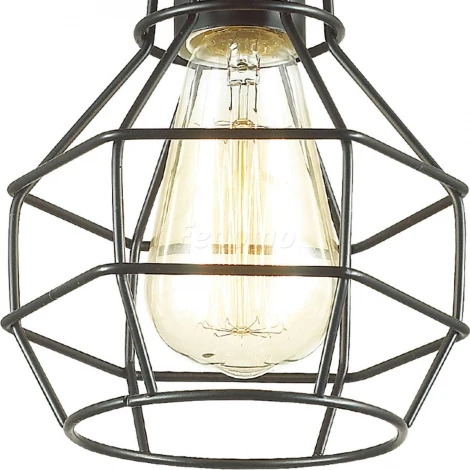 Потолочная люстра Lumion Harald 3637/1C