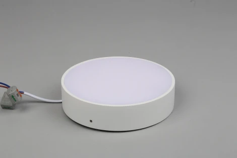 Потолочный светильник круглый Aployt Evon APL.0114.09.18 (LED, 220V, круглые)