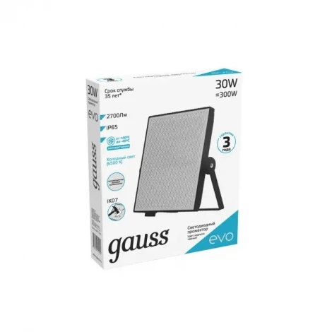 Прожектор уличный Gauss EVO 687511330