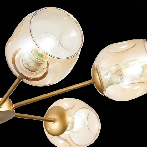 Потолочная люстра Evoluce Pallo SLE155412-06