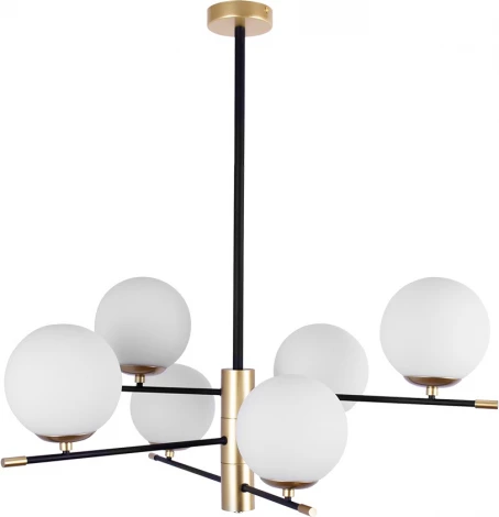 Потолочная люстра на штанге Arte Lamp A2225LM-6BK