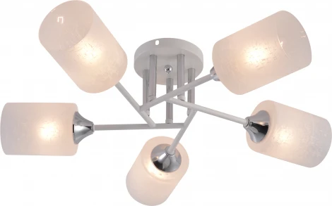 Потолочная люстра на штанге Rivoli Federica 9178-305