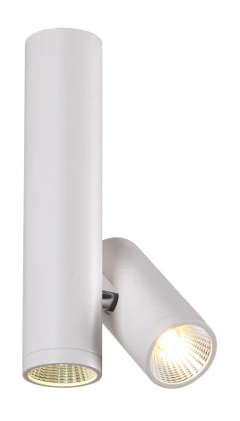 Спот Omnilux Milena OML-20311-02