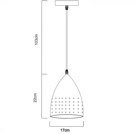 Подвесной светильник Arte Lamp Lucido A4081SP-1SS