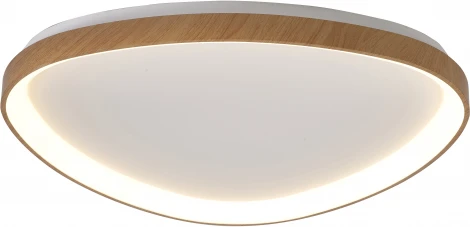 Потолочный светильник фигурный Mantra Niseko 8059