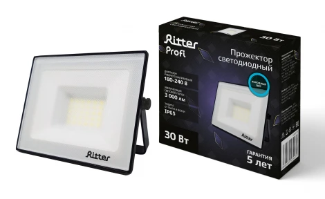 Прожектор уличный светодиодный Ritter PROFI 53407 9