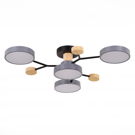 Потолочная люстра на штанге Evoluce Faema SLE6006-702-04