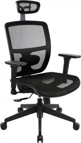 Компьютерное кресло Everprof Dublin Сетка Черный