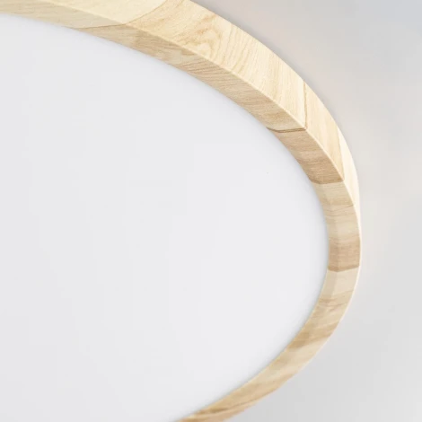 Настенно-потолочный светильник Citilux Бейсик CL738322V (регулировка яркости, LED, 220V, круглые, IP40)