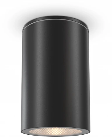 Уличный потолочный светильник Maytoni Roll O307CL-01B (220V, круглые, IP54)