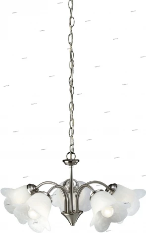 Massive Justina 36500-17-10