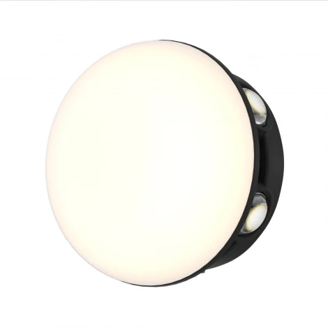 Настенный уличный светильник светодиодный Favourite Option 4853-1W LEDx12W 3000K IP65