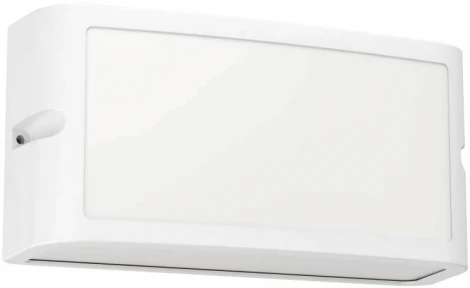 Настенный светильник светодиодный уличный Eglo CAMARDA 900807 (220V, IP54)