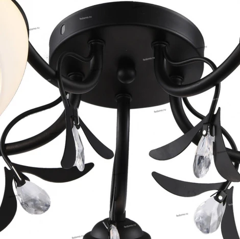 Потолочная люстра J-Light Kira 1061/5C