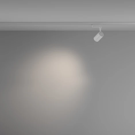 Трековый светильник Vuoro Unity 4000K 6Вт 36° LED (однофазный) Maytoni Technical TR003-1-6W4K-M-W (220V, круглые)