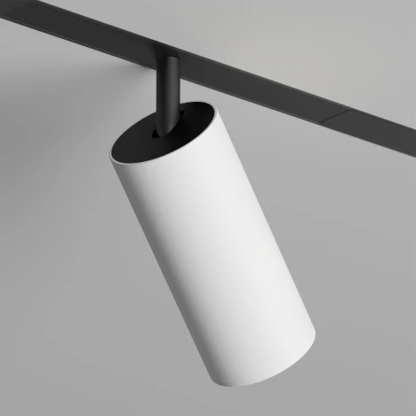 Трековый светильник 220 Denkirs Smart Spot DK8041-BW+BK (LED, пульт управления, круглые)