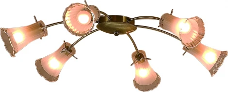 Потолочная люстра Citilux Dana CL106162