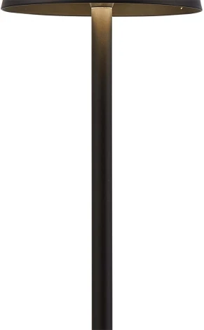 Настольная лампа с аккумулятором F-Promo Pyari 4615-1T (LED, 220V)