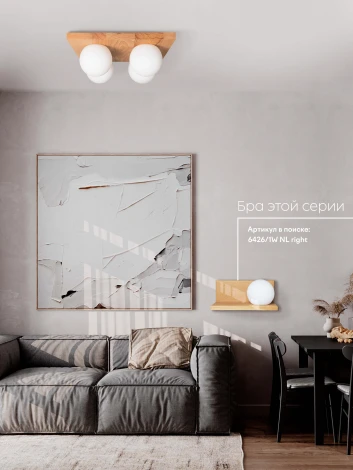 Потолочный светильник прямоугольный Мелодия Света SS1N 000036817