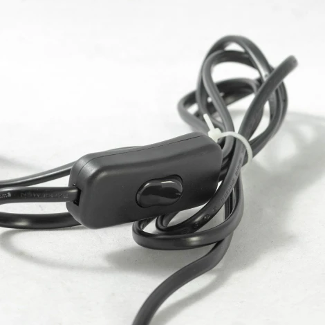 Офисная настольная лампа Lussole Loft Roma GRLST-4274-01