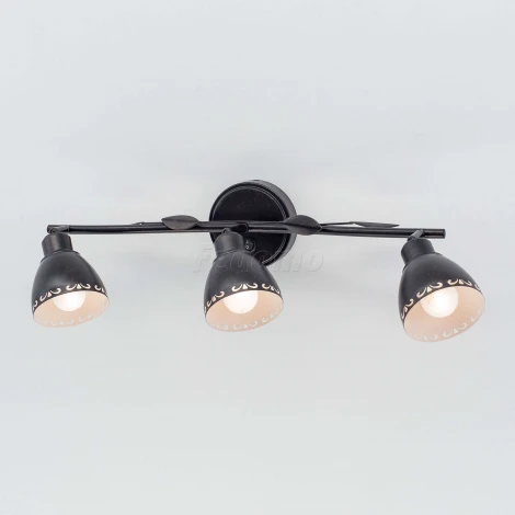 Спот Citilux Робуста CL509532