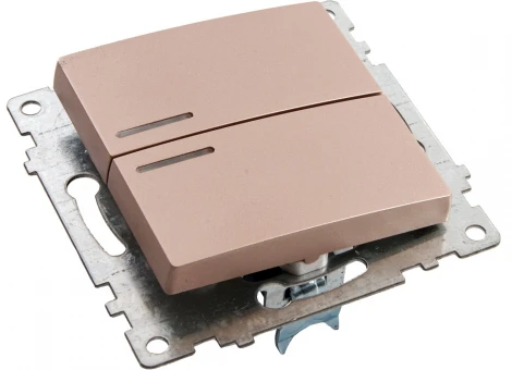 Выключатель двухклавишный с подсветкой (шампань) Stekker Катрин 39593