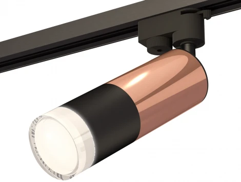 Трековый светильник Ambrella Track System XT6302062 (220V, круглые)