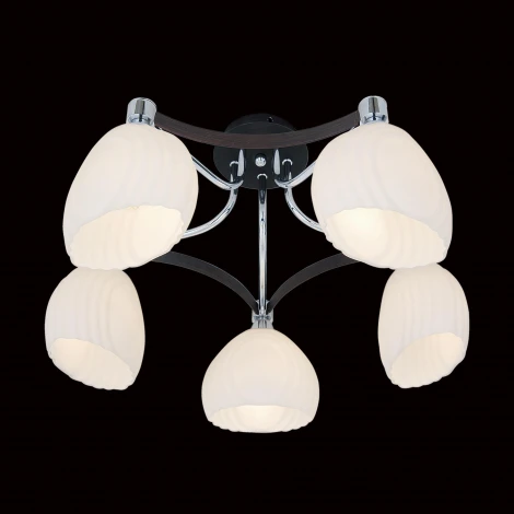 Потолочная люстра Citilux Iris CL143151