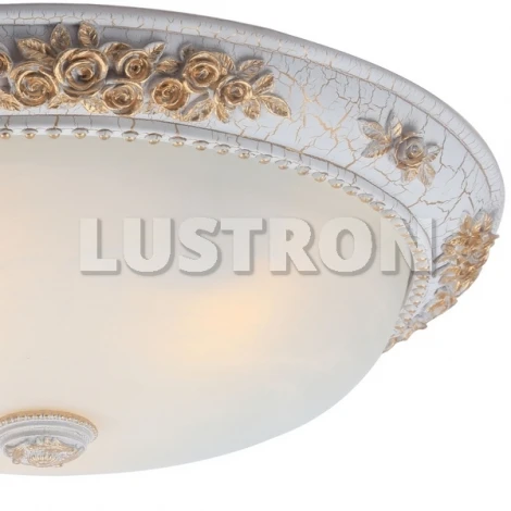Потолочный светильник Arte Lamp Torta A7103PL-3WG