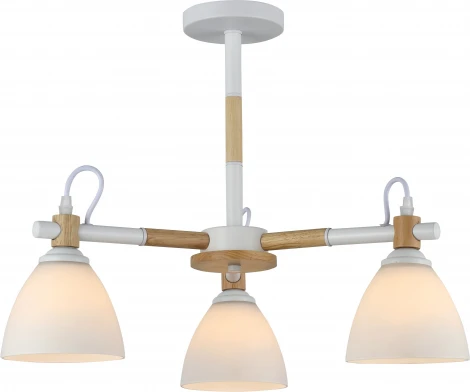 Потолочная люстра на штанге Rivoli Louise 9175-303 (220V)