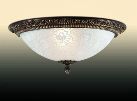 Настенно-потолочный светильник Odeon Light Maipa 2587/1W
