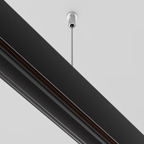 Подвес тросовый 2шт Exility черный (магнитный) Maytoni Technical TRA034SW-2B