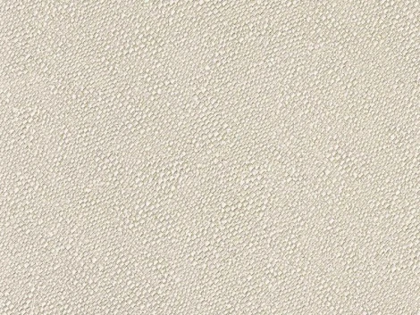 Обои виниловые Zambaiti Trussardi III 3434 10,05 x 0,7 м